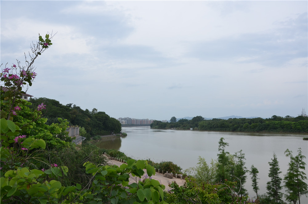 國(guó)務(wù)院：聚焦企業(yè)關(guān)切，進(jìn)一步推動(dòng)優(yōu)化營(yíng)商環(huán)境政策落實(shí)